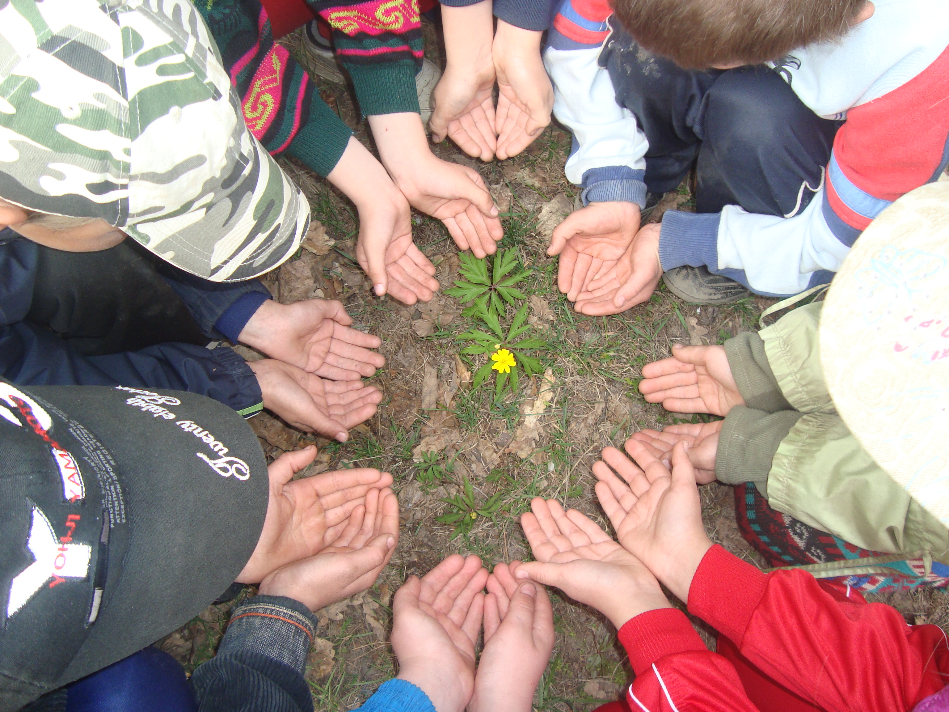 Экология в первой группе. Защита природы. Экологический кружок. Экологические мероприятия. Экологический день в школе.